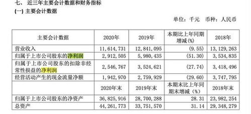 周鸿祎的追风之旅 360押注新造车，互联网安全巨头的转型之困